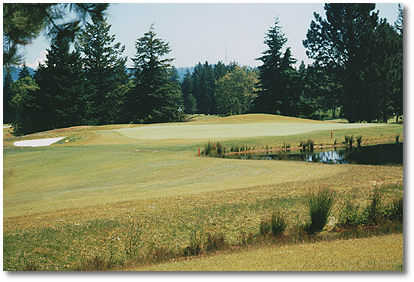 RedTail Golf Center - photo 5
