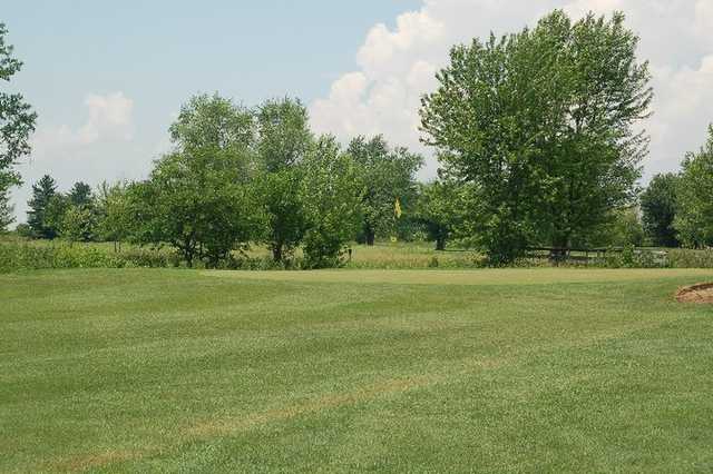 The Landings At Rickenbacker Golf Club - photo 3