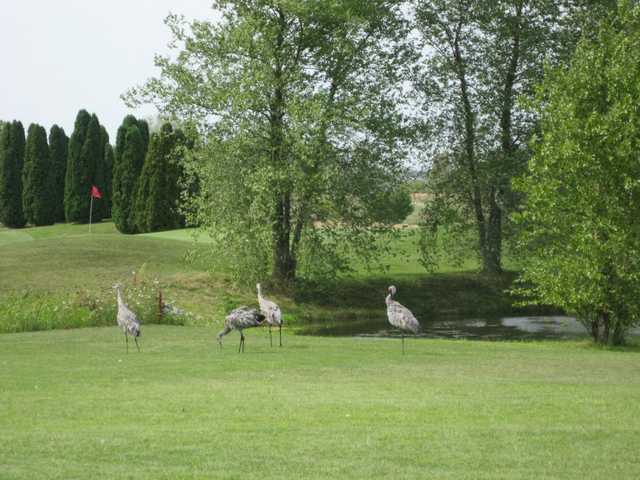 Marengo Ridge Golf Club - photo 5