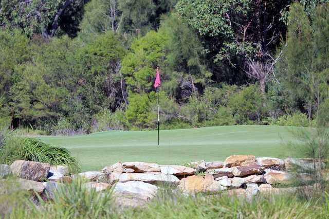 Manly Golf Club - photo 4