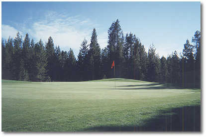 Quail Run Golf Course - photo 4