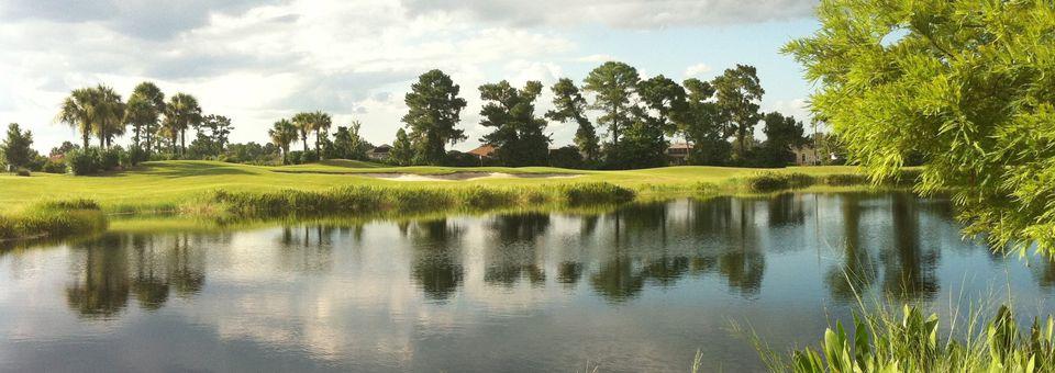 Stoneybrook East Golf Club - photo 5