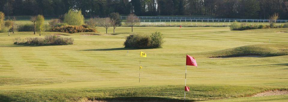 Gowran Park Golf Club - photo 8