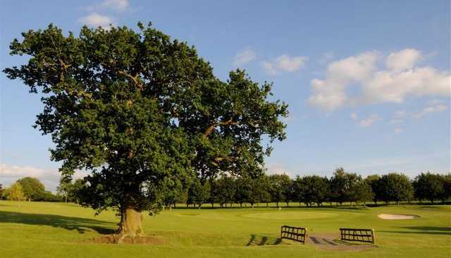 Ullesthorpe Court Hotel & Golf Club - photo 4