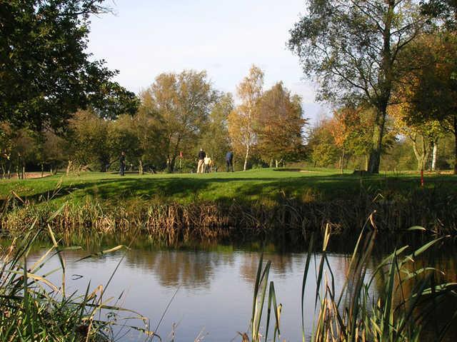 Bloxwich - photo 3