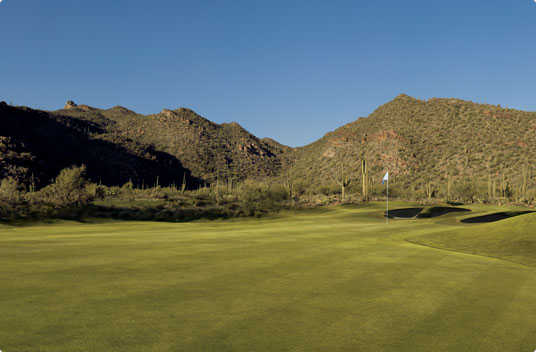 The Golf Club at Dove Mountain - photo 2