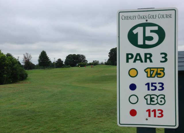 Chesley Oaks Golf Course - photo 2