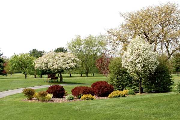 Maplecrest Country Club - photo 3