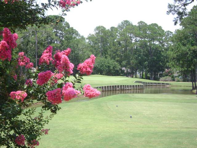 Gulf Shores Golf Club - photo 4