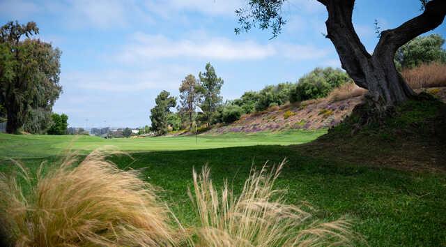 Shorecliffs Golf Club - photo 5