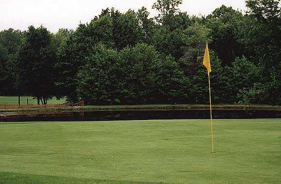 Emerald Woods Golf Course - photo 7
