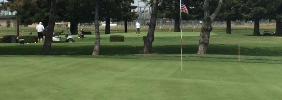 Emerald Lakes Golf Course - photo 5
