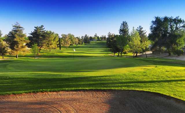 Green Tree Golf Course - photo 2