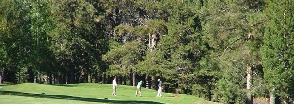 Ponderosa Golf Course - photo 4
