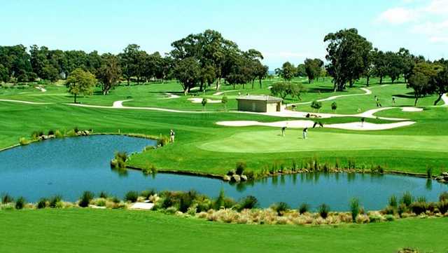 Poplar Creek Golf Course - photo 6