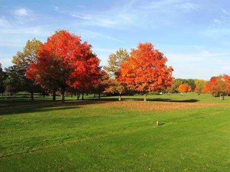 Coyote Run Golf Course (IL) - photo 5