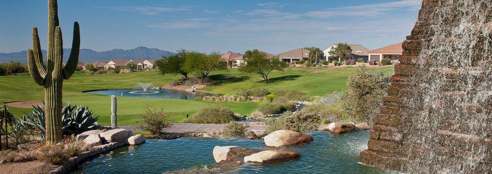 The Highlands at Dove Mountain - photo 6
