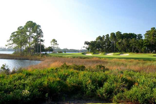 Sharks Tooth Golf Club - photo 3