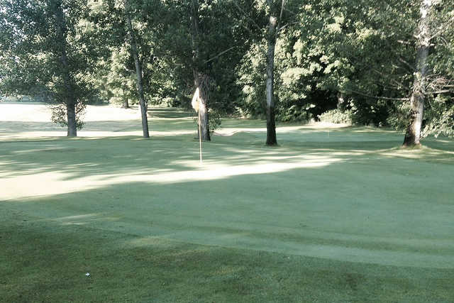 Alpine Meadows Golf Course - photo 2