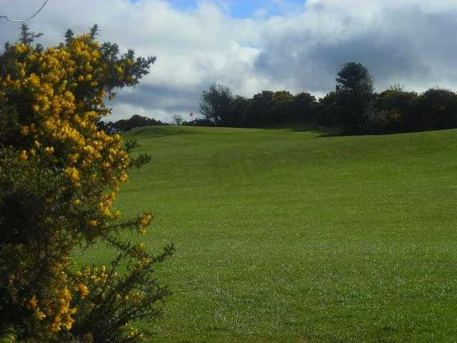 Hazel Grove - photo 2