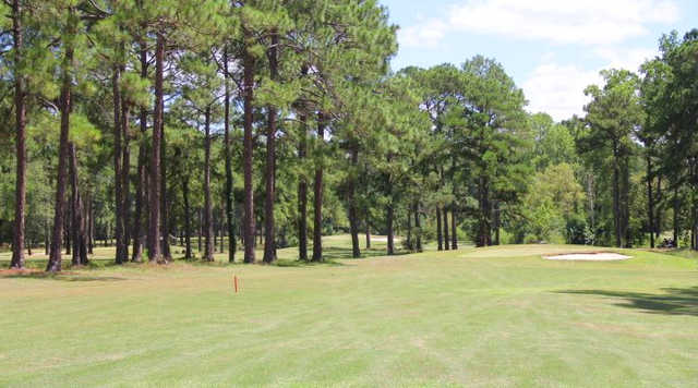 Twisted Pine Golf Course - photo 1