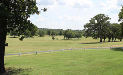 Henryetta - photo 4
