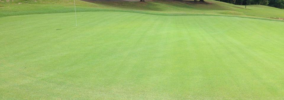Player's Ridge - photo 4
