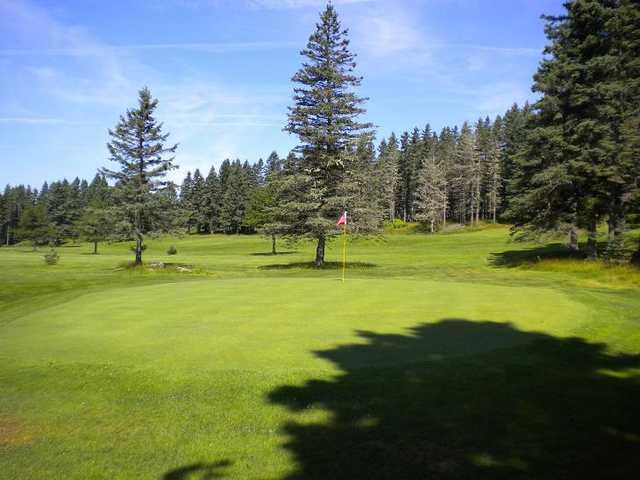 Moose River Golf Course - photo 2