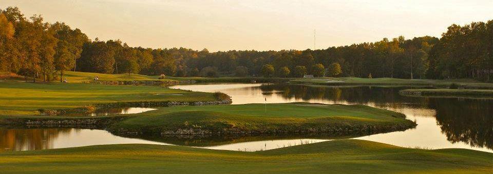 Ford's Colony Country Club - Blue Heron - photo 7