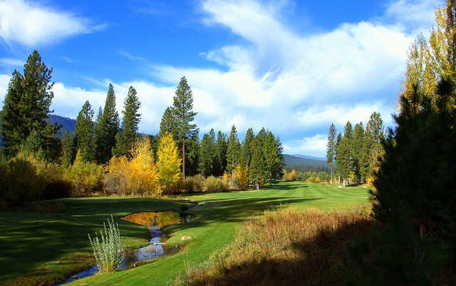 Whitehawk Ranch Golf Club - photo 3