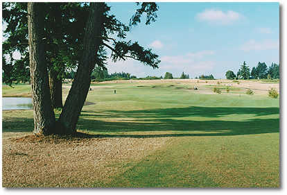 Stone Creek Golf Club - photo 6