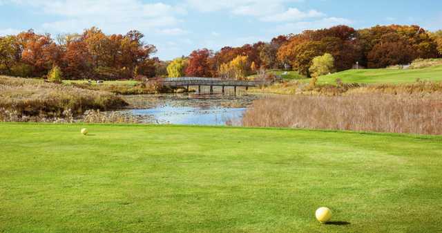 The Ponds At Battle Creek Golf Course - photo 1