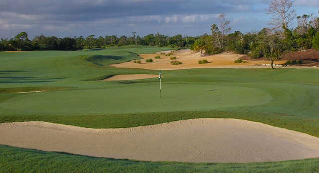 Hawks Nest - photo 4