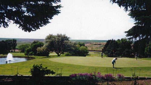 Harrington - photo 2