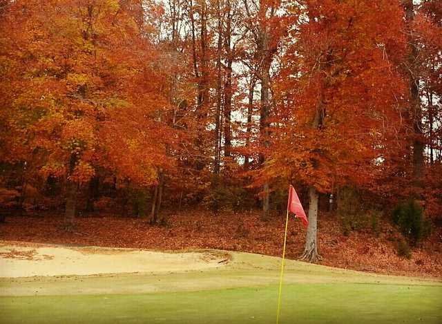 Harry L. Jones Sr. Golf Course - photo 3