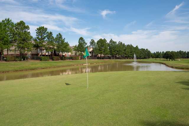 Links at Texarkana - photo 2