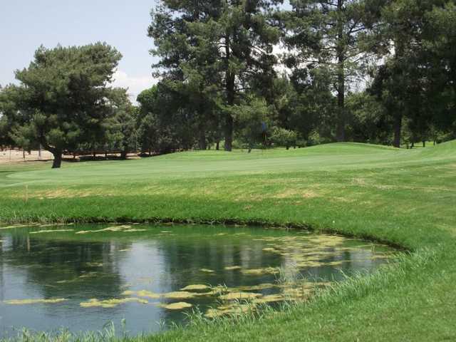 Paradise Knolls Golf Course - photo 2