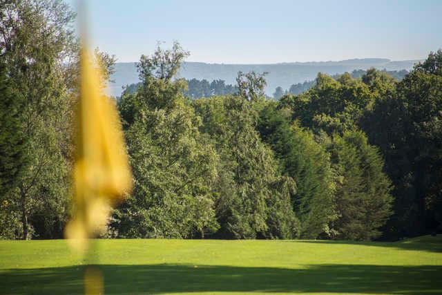 Bulbury Woods Golf Club - photo 6