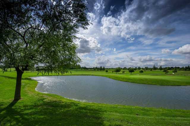 Chesfield Downs Golf and Country Club - photo 3