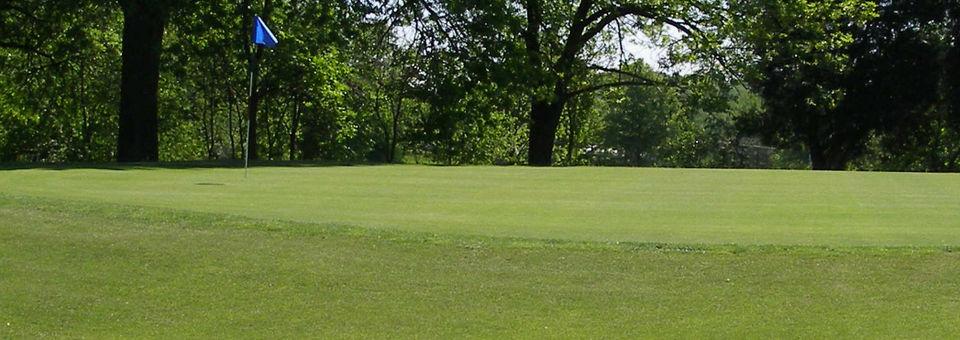 Ruth Park Golf Course - photo 4