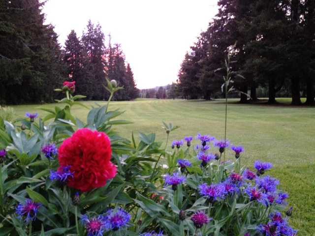 Vernonia Golf Course - photo 3