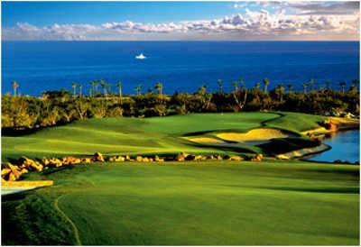 Cabo del Sol - Desert Course - photo 3