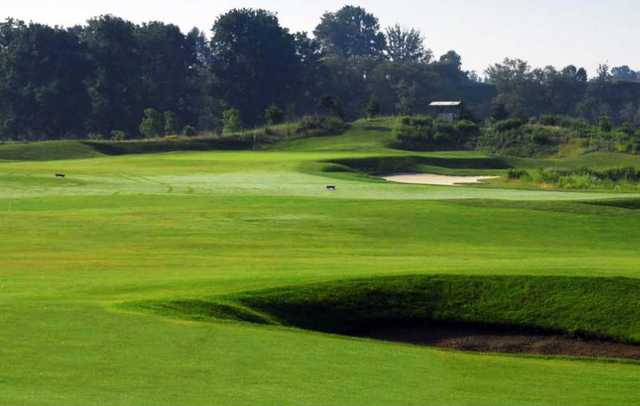 Grey Silo Golf Club - photo 5