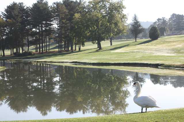 The Golf Club of Bristol - photo 2