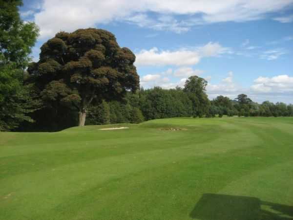 Balbirnie Park Golf Club - photo 7