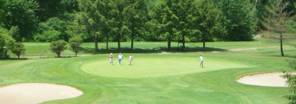 Elmcrest Country Club - photo 4