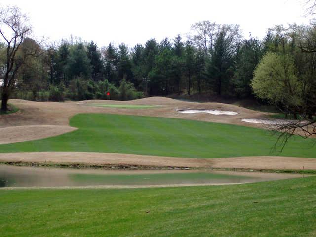 Egwani Farms Golf Course - photo 4