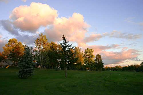 Fox's Den Golf Course - photo 3