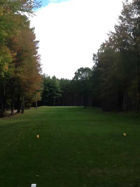 Pine River - photo 2