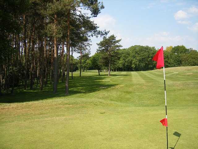The Leatherhead Club - photo 7
